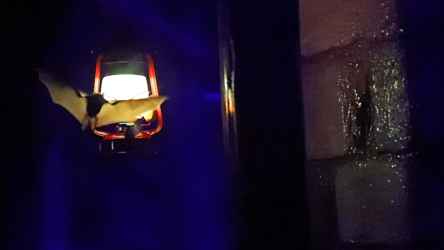 A szín megváltoztatása egy olyan program része, amely a fényszennyezés hatásainak mérséklését szolgálja, különösen az éjszakai állatok esetében.