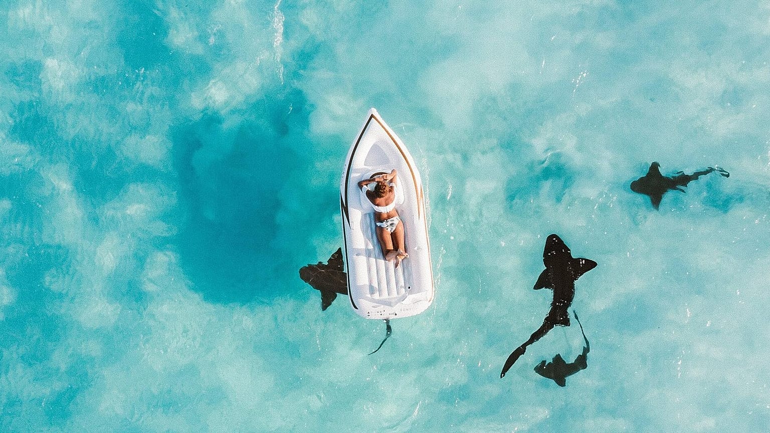 Reisende sind ihren Treue- und Bonusprogrammen nicht mehr so loyal