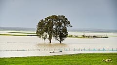 Ein einsamer Baum ragt aus überschwemmten Feldern am Sebou in der Gemeinde Oulad Slama nahe Kenitra in Marokko, am Sonntag, dem achten Februar 2026.
