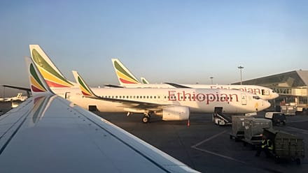 Le chiffre d’affaires semestriel d'Ethiopian Airlines bondit de 14 %