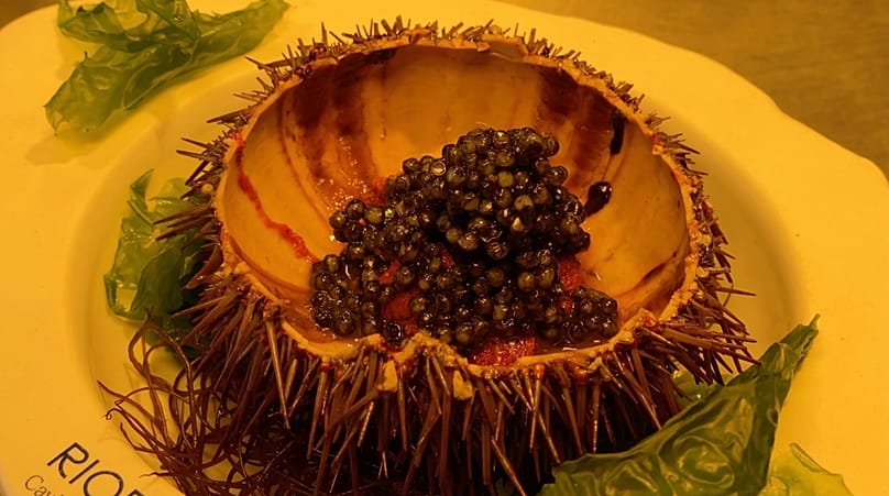 Πιάτο με χαβιάρι στο εστιατόριο Los Marinos José στη Φουενχιρόλα της νότιας Ισπανίας