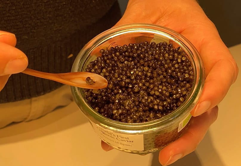 Γευσιγνωσία βιολογικού χαβιαριού