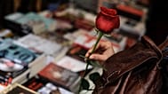 İspanya'nın kuzeyindeki Pamplona şehrinde, Uluslararası Kitap Günü'nde bir kadın elinde kırmızı bir gül tutarken kitaplara bakıyor, 23 Nisan 2014.