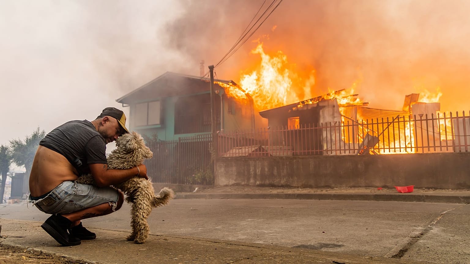 ARQUIVO - Manuel Lagos afaga o cão enquanto a casa da família é cercada por um incêndio florestal em avanço em Lirquén, Chile, 18 jan. 2026