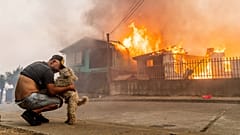 Archivbild: In Lirquén in Chile streichelt Manuel Lagos am 18. Januar 2026 seinen Hund, ein Waldbrand bedroht das Zuhause der Familie.