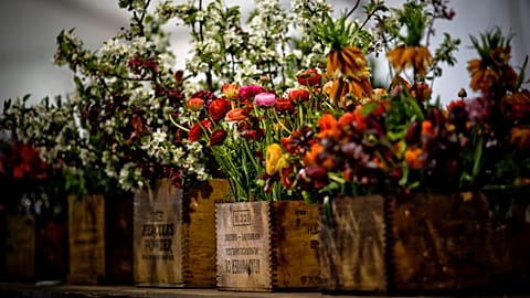 Yenilebilir çiçekler