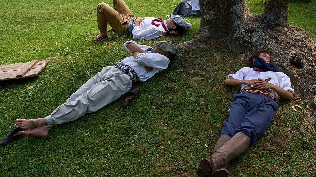Sesta de 45 minutos à tarde reenergiza o cérebro e estimula a aprendizagem, diz estudo