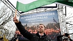 Peter the Hungarian in January 2026