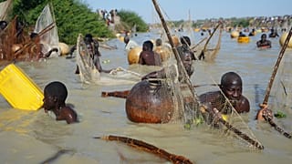 Nigeria : le festival de pêche d'Argungu fait son retour après six ans d'interruption