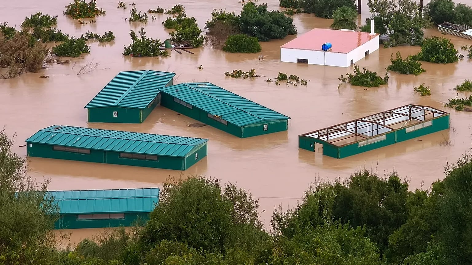 Flooding in the Spanish town of San Martin del Tesorillo in February 2026.