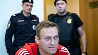FILE: Russian opposition leader Alexei Navalny speaks to the media prior to a court session in Moscow, 22 August 2018