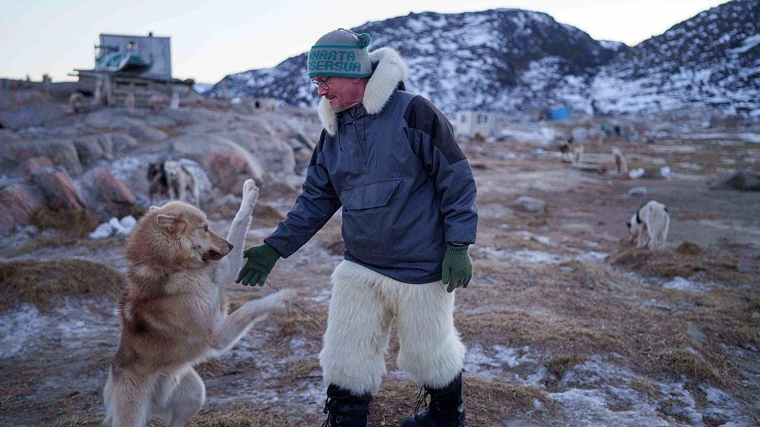 Jørgen Kristensen acaricia a su perro de trineo antes de una salida en Ilulissat, Groenlandia, el martes 27 de enero de 2026.