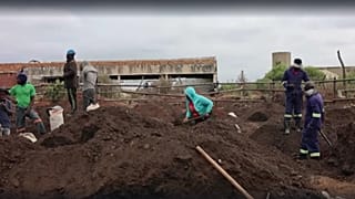 Afrique du Sud : la ruée vers l'or s'empare d'un township de Johannesburg