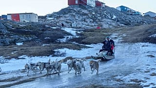 Jørgen Kristensen, 62 anos, a conduzir os seus cães de trenó em Ilulissat, Gronelândia, na terça-feira, 27 de janeiro de 2026.