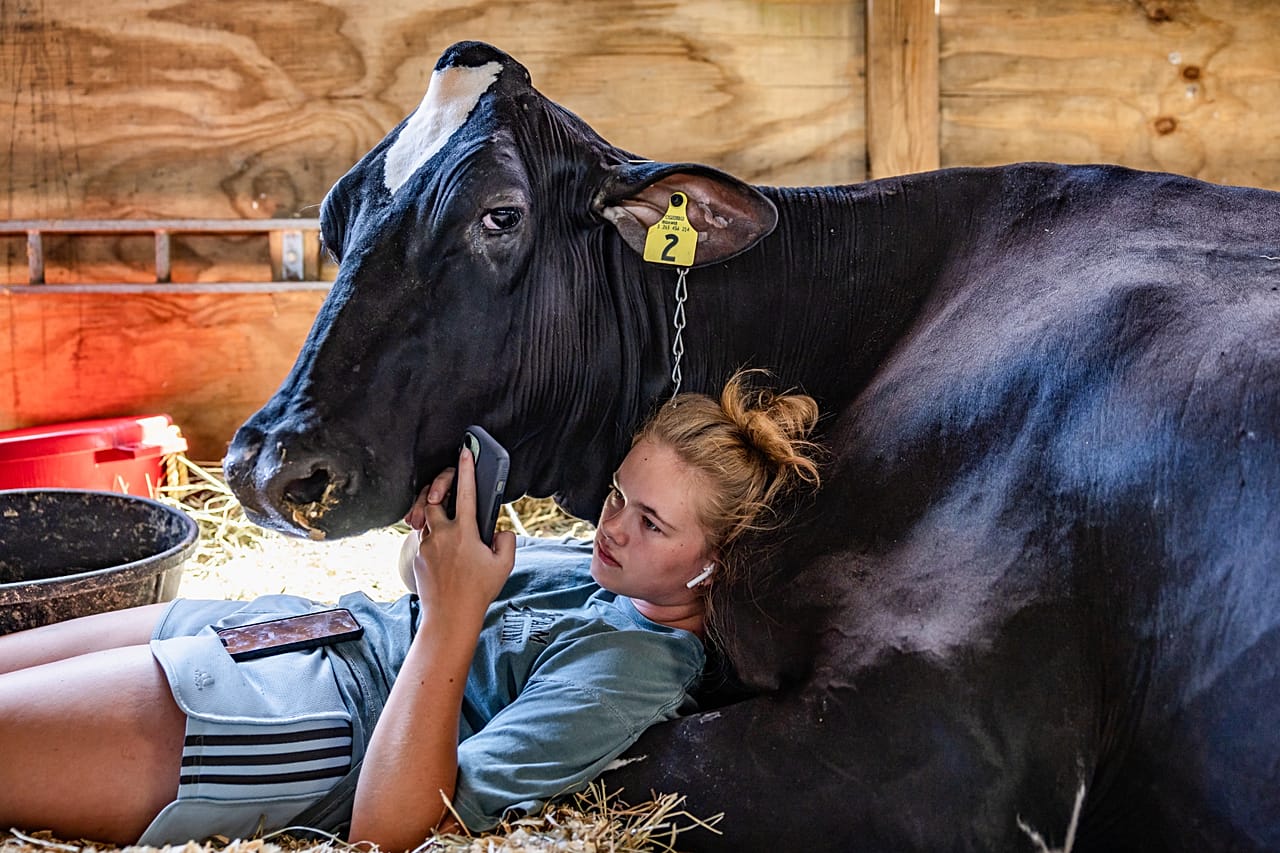 Portrait of Charlotte and Dolly, depicting a young woman and her cow, resting together in a barn to keep cool in summer heat in West Virgin