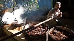 ARCHIV: In Ceu do Mapia im brasilianischen Bundesstaat Amazonas bereitet ein Mann Ayahuasca zu, einen psychedelischen Tee, den die Einheimischen Santo Daime nennen.