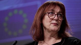 European Commissioner for the Mediteranean, Dubravka Suica