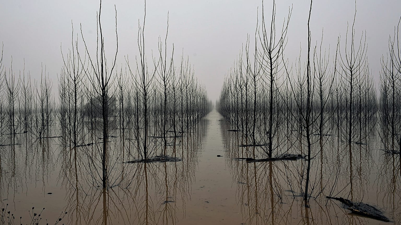 ARCHIVO: Una crecida del río Ebro en 2023