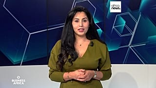 Egypt: Tourism holds strong despite regional tensions [Business Africa]