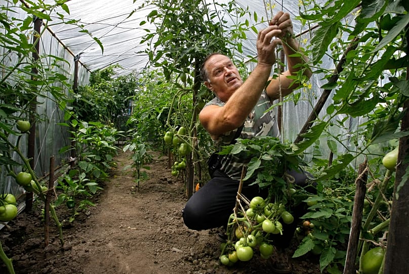 Foto de demonstração.