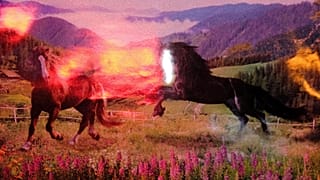 Rüzgar Gibi Geçti, Mülksüzler.