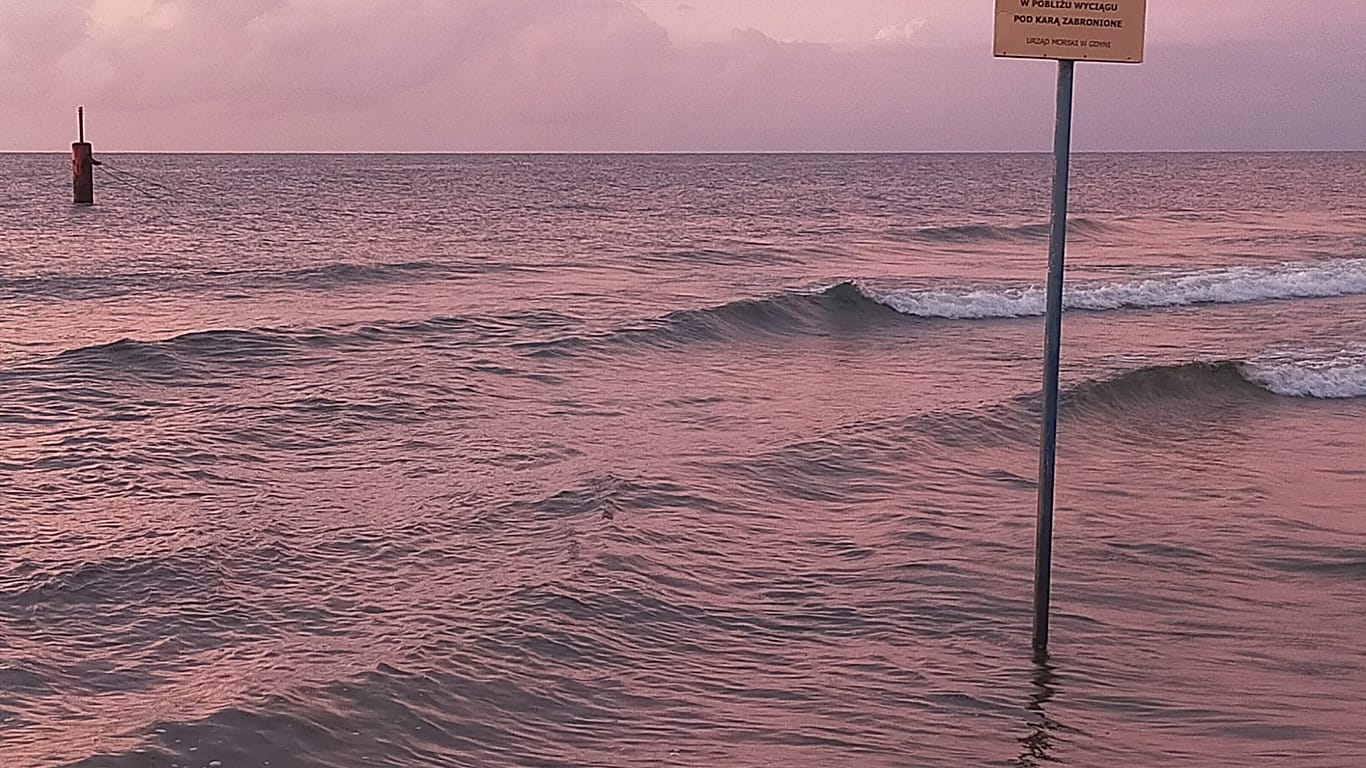 Perché i livelli del Mar Baltico si stanno abbassando e quali sono i rischi per l'ambiente