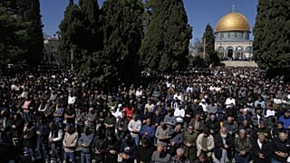 Arrêt sur images du 20 février 2026