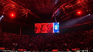 Benfica abre inquérito ao comportamento de dois adeptos