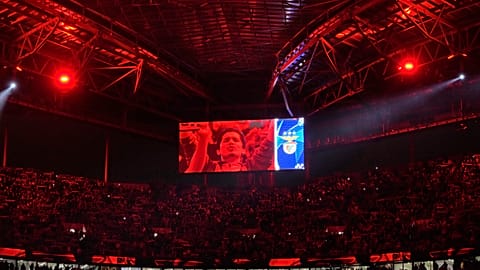 Benfica abre inquérito ao comportamento de dois adeptos