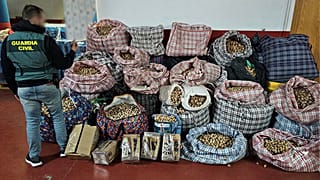 Fotografía del alijo de sacas de adormidera, 21 de febrero de 2026