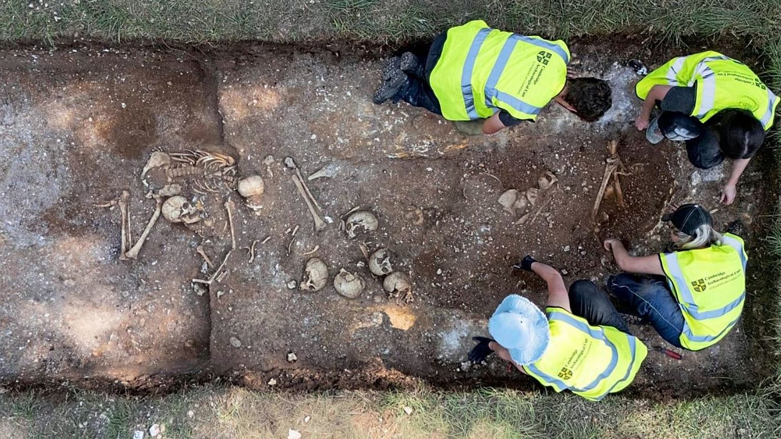 Mindestens zehn Männer waren vor über 1100 Jahren in einem Massengrab nahe Cambridge verscharrt worden.