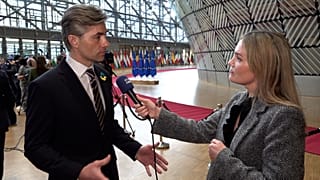 Lithuanian Foreign Minister Kęstutis Budrys speaks to Euronews.