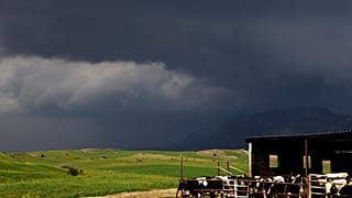 φωτό αρχείου