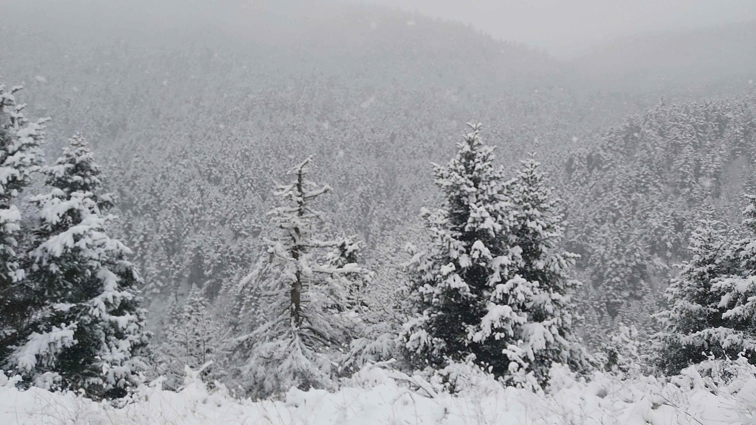 φωτό αρχείου