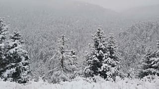 φωτό αρχείου