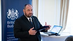 Fedir Sándor, Ukrajna nagykövete 