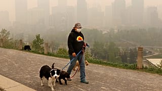 كيف يساعدك مؤشر جودة الهواء في هاتفك على تحسين صحتك