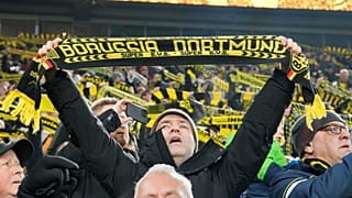 Borussia Dortmund taraftarı