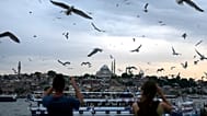 Gaviotas en Estambul