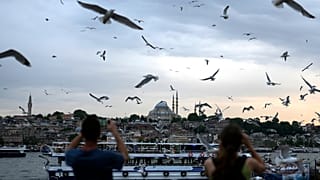 Seagulls in Istanbul