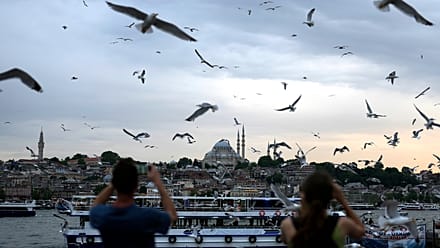 Vidéo : un footballeur d'Istanbul réanime une mouette percutée par son ballon
