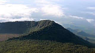 RDC : des communautés locales protègent leurs forêts face aux conflits fonciers