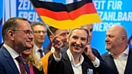 Die AfD wurde am 6. Februar 2013 gegründet.
