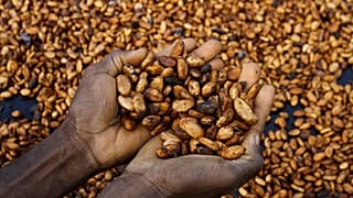 Ghana's cocoa crisis deepens as buyers owe banks $750 Million