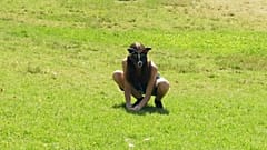 Viraltrend in Argentinien: Maskierte Jugendliche, die sich als Tiere sehen, treffen sich in einem Park in Buenos Aires.