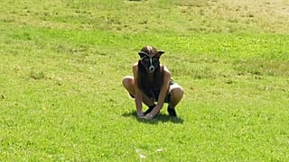 Tendência viral na Argentina junta jovens mascarados que se identificam como animais num parque de Buenos Aires