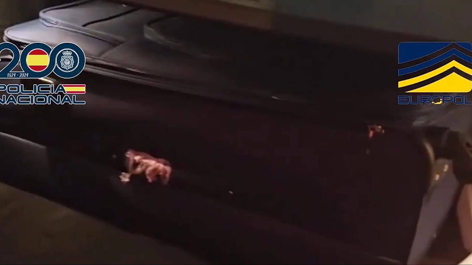 Operación Beluga, 27 de febrero de 2026