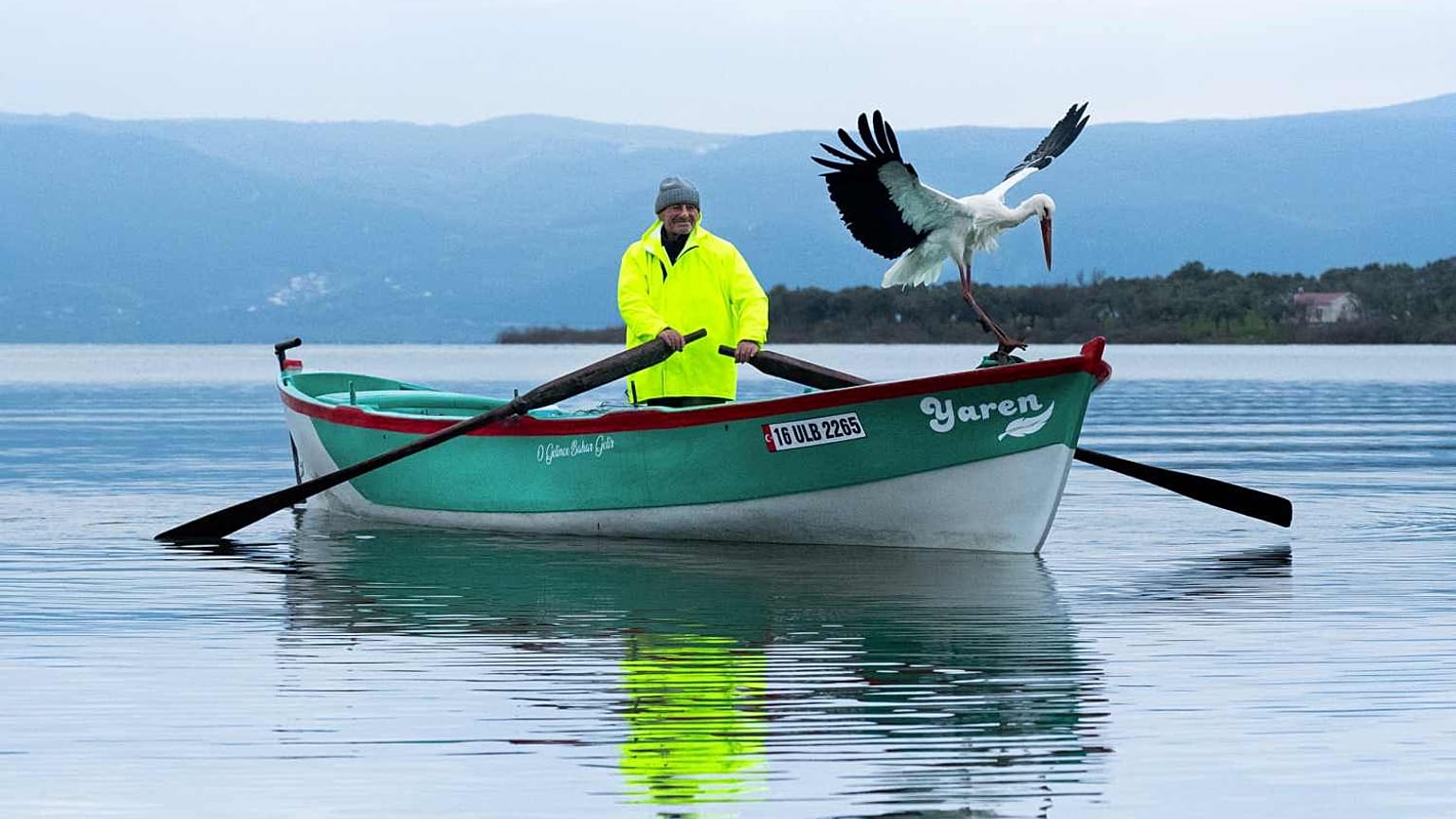 Yaren leylek ve balıkçı Adem Yılmaz