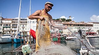 Europas Fischereibetriebe suchen händeringend nach Nachwuchskräften.