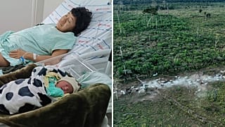 Babawru Akuntsu rests beside her newborn son in Vilhena, Brazil, Dec. 9, 2025. | FILE - Cattle in an illegally deforested area near Jaci-Parana, Brazil, Jul 2023.